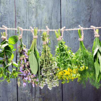 oli essenziali doterra estratti da erbe