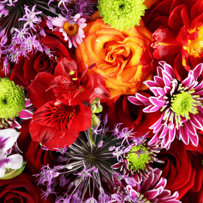 oli essenziali doterra estratti da fiori